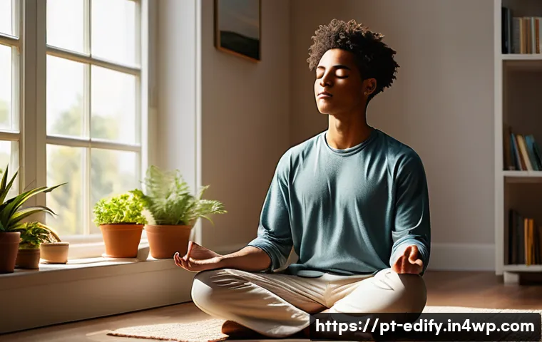 시각화 학습이 불러오는 동기부여 - A serene and focused young adult sitting cross-legged in a cozy, sunlit room, eyes closed, deeply en...